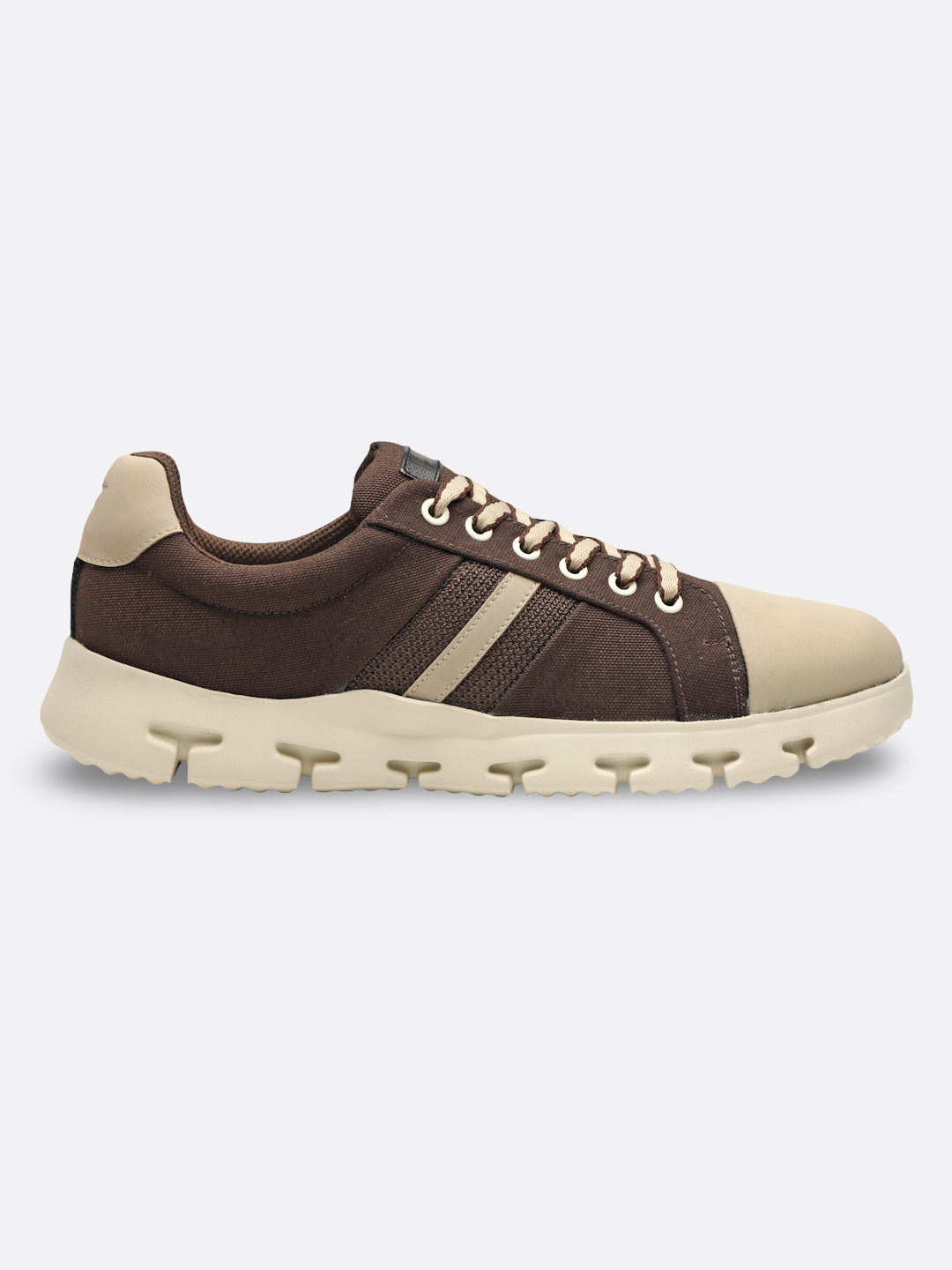 TURIN-Beige, Brown
